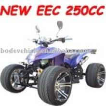 250cc Racing ATV